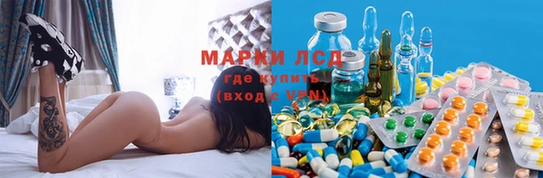 Альфа ПВП Новозыбков