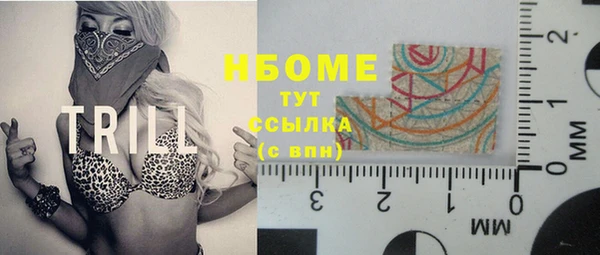 твердый Новокубанск