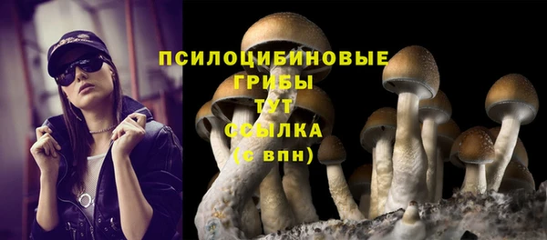 мяу мяу кристалл Новодвинск