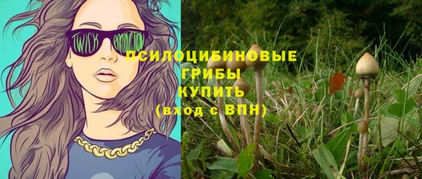 твердый Новокубанск