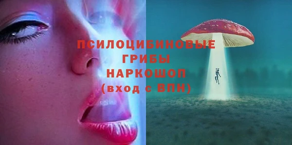 Альфа ПВП Новозыбков