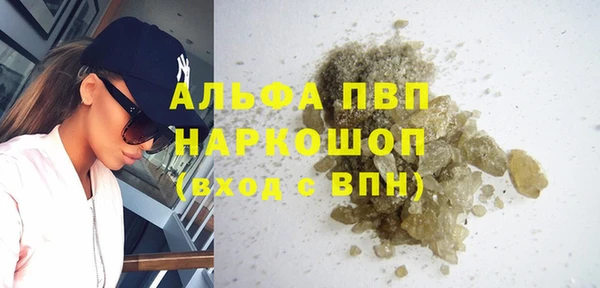 Альфа ПВП Новозыбков